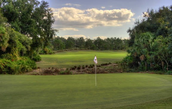 LPGA International Tee