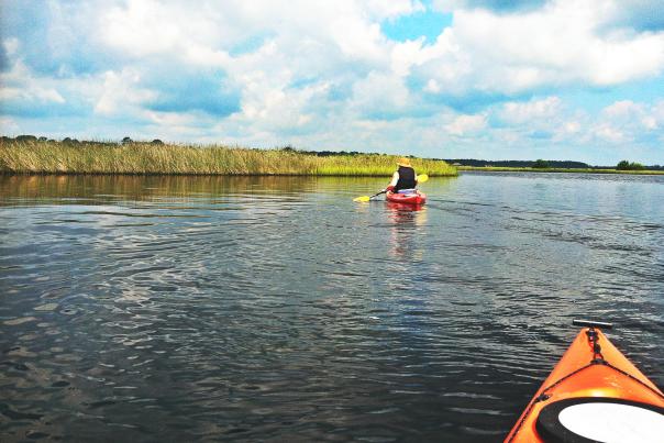 Tomoka State Park Near Daytona Beach offers activity-filled  escapes