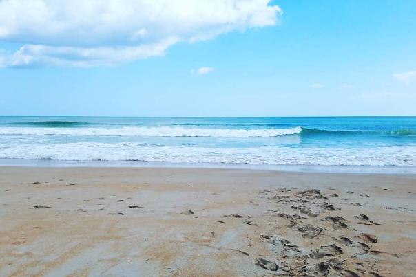 Surf the Waves in Ormond Beach