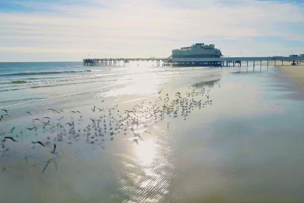 Pier Shot