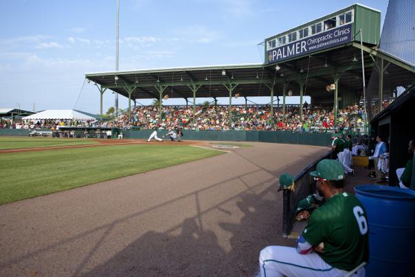 Daytona Tortugas