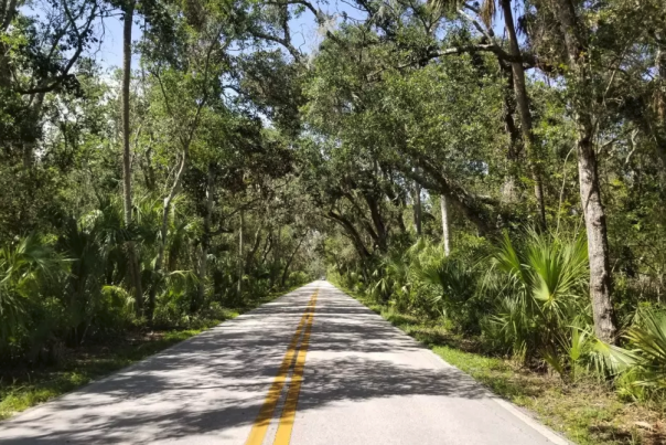 The Ormond Scenic Loop is part of the Flagler Fondo bicycle event.