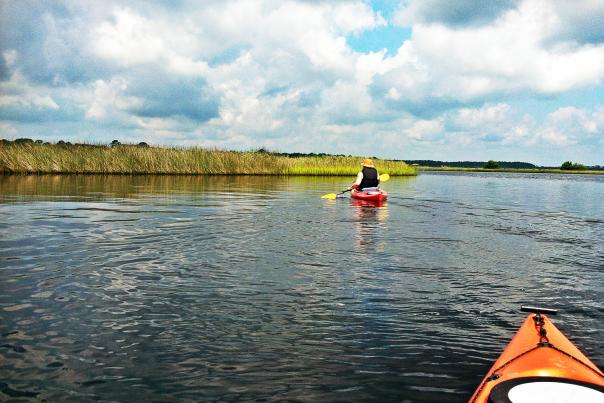 Kayaking Tomoka River Basin 