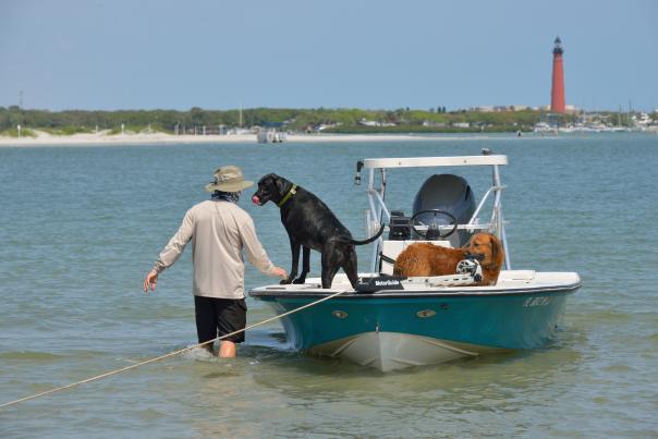 Two dogs aboard a boat in Ponce Inlet with a view of the lighthouse in the background