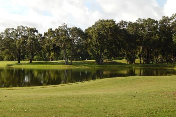 The Preserve at Turnbull Bay