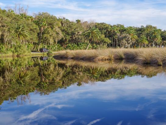 Ormond Beach Scenic Loop