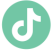 TikTok Logo