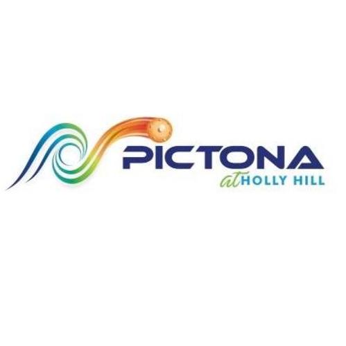 Pictona Logo