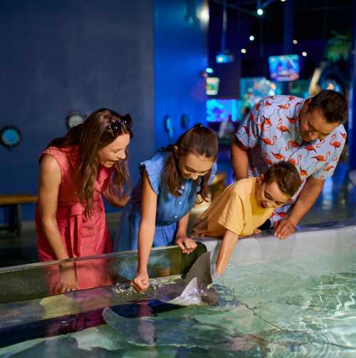 Family at the stingray touch pool - Daytona Aquarium & Rainforest Adventure in Daytona Beach, Florida.