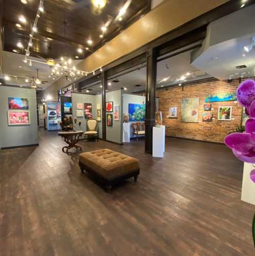Galery Elan interior