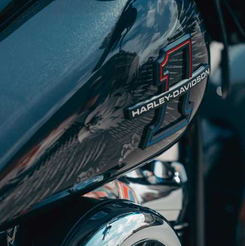 New Bikes - Teddy Morse's Daytona Harley-Davidson