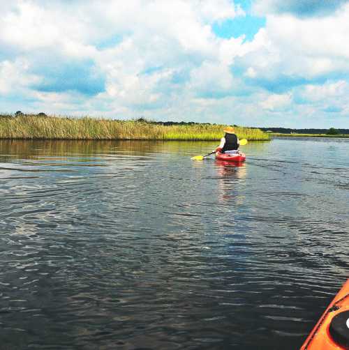 Tomoka State Park Near Daytona Beach offers activity-filled  escapes