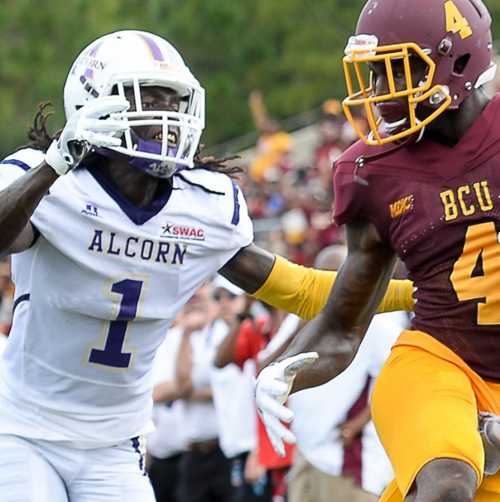 Bethune Cookman Wildcats