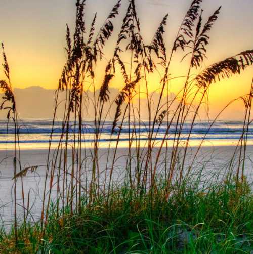 Beach Guidelines & Safety