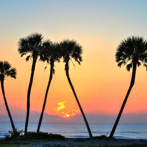 Discover why Daytona Beach is the Festival Capital of Florida