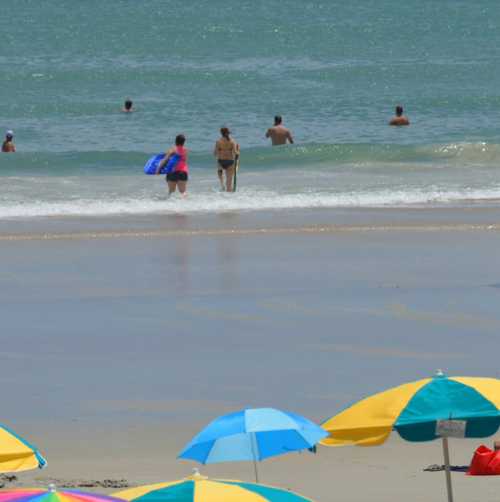Beach Lifeguard