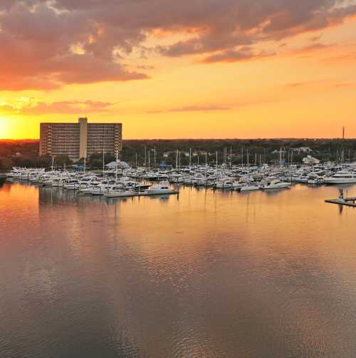 Halifax Harbor Marina
