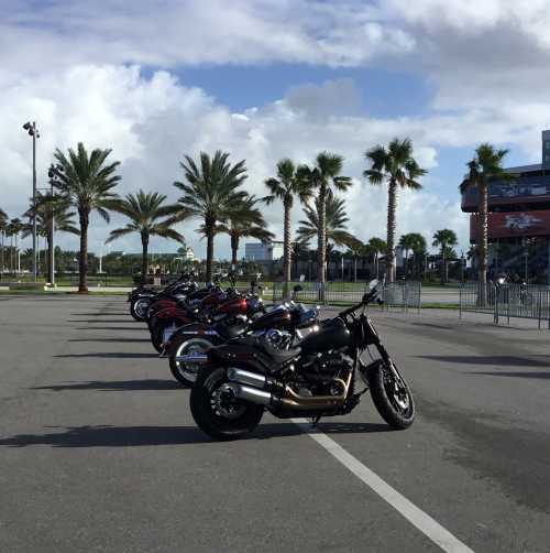 Motorcycles lined up