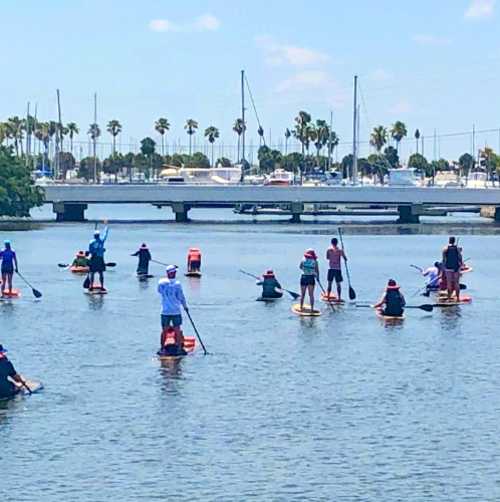 Paddleboarding