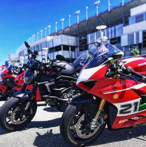 Motorcycles at Speedway