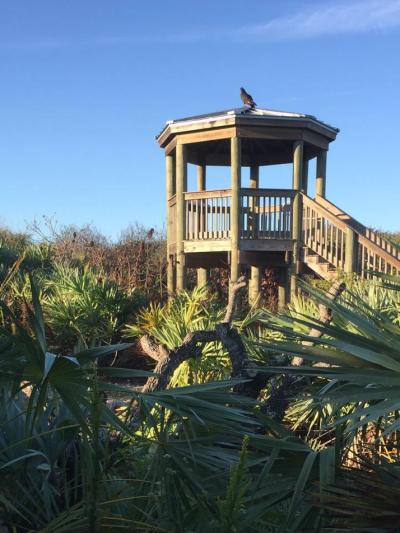 Ponce Preserve Observation Tower