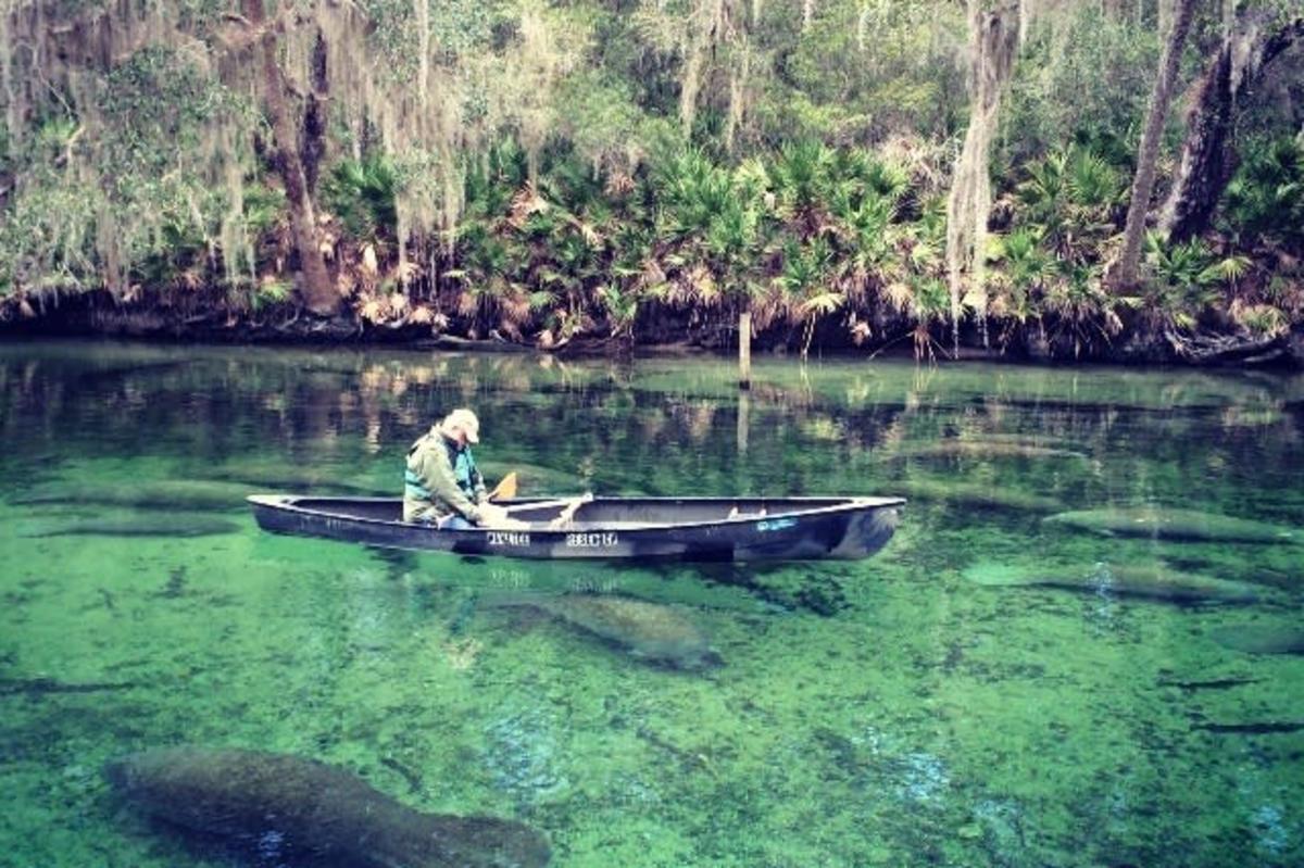 Blue Spring State Park near Daytona Beach offers activity-filled escape