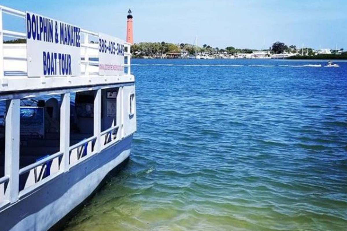 Ponce Inlet Watersports Dolphin & Manatee Tour