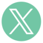 X (twitter) logo