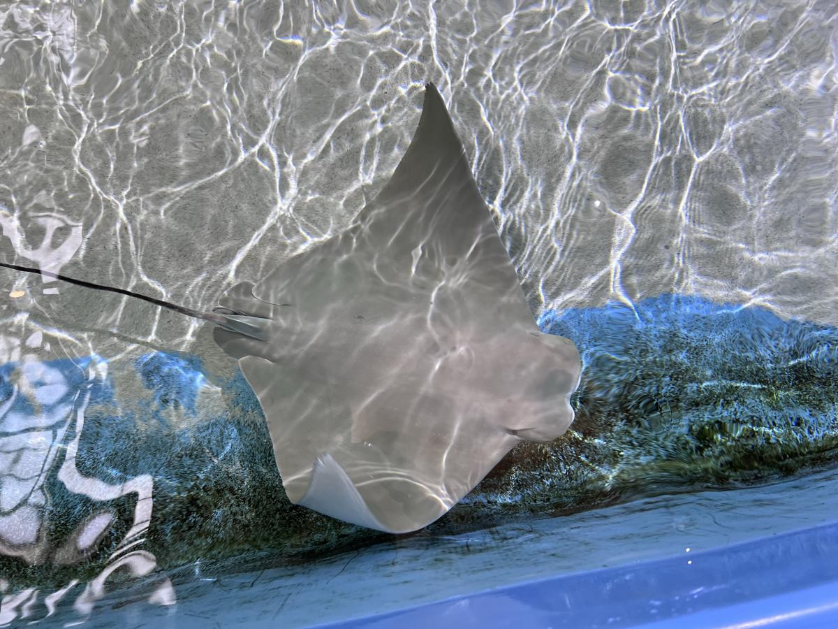 Marine Science Center
