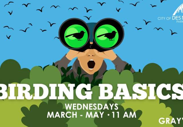 Birding Basics
