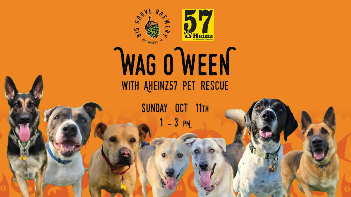 Wag-o-Ween with AHeinz57 Pet Rescue | Big Grove Des Moines