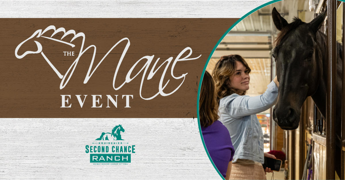 The Mane Event