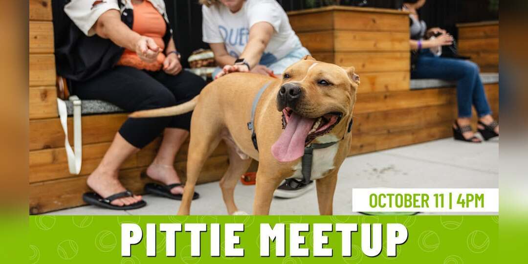 Pittie Meetup