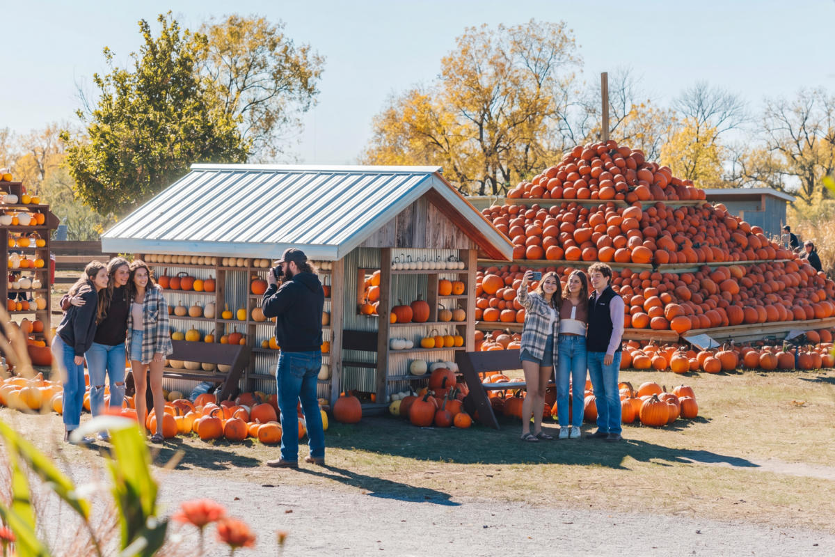 Pumpkin Fest