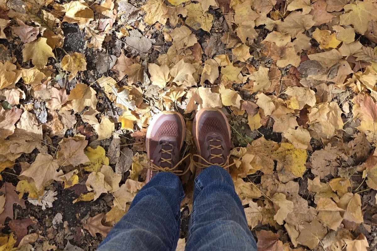 Fall Leaf Hike and Crafts - Outdoor event in Des Moines, Iowa