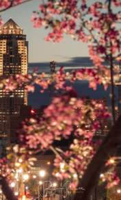 Spring in Des Moines