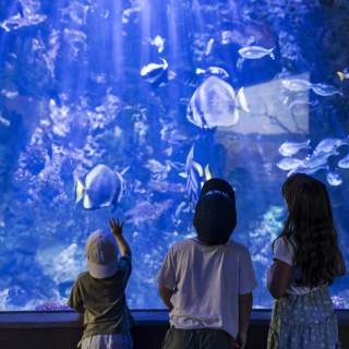 Catch What's Happening at Blank Park Zoo This Summer