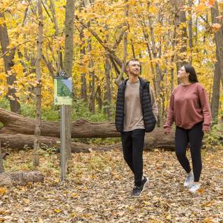 Where To See Fall Colors in Greater Des Moines