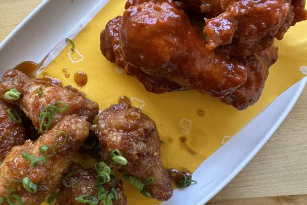 Basic Bird Wings 2.0