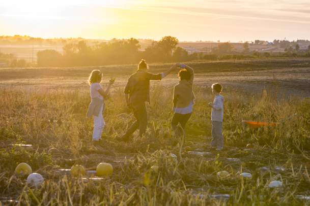 Best Pumpkin Patches and Apple Orchards in Greater Des Moines