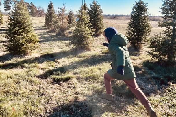 Christmas Tree Farms