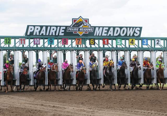 Prairie Meadows - Start Gate