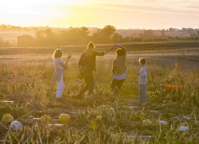 Best Pumpkin Patches and Apple Orchards in Greater Des Moines