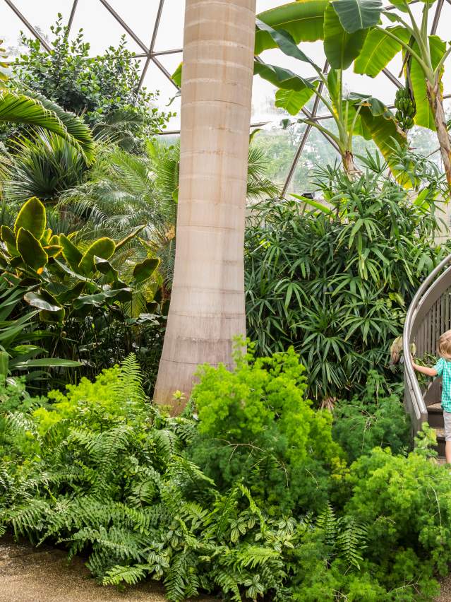 Greater Des Moines Botanical Garden