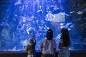Blank Park Zoo Aquarium