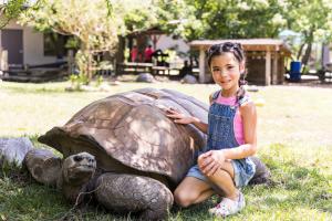 Tortoise at Blank Park Zoo