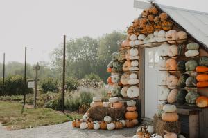 Rose Farm - Pumpkin Patch
