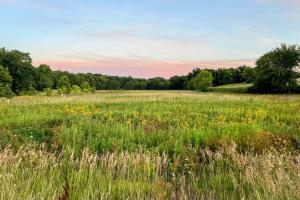Walnut Creek Regional Park