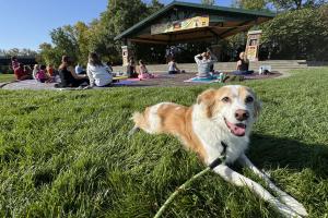 Windsor Heights Fall Fest