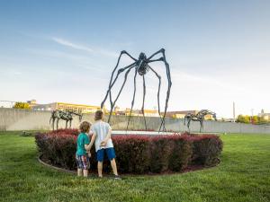 Catch Des Moines - John and Mary Pappajohn Sculpture Park